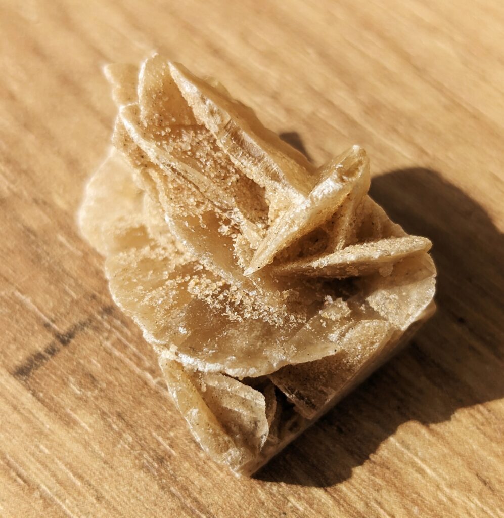 Desert rose